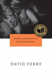 Bewilderment: New Poems and Translations - David Ferry