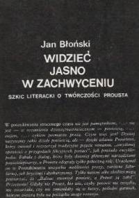 Widzieć jasno w zachwyceniu - Jan Błoński