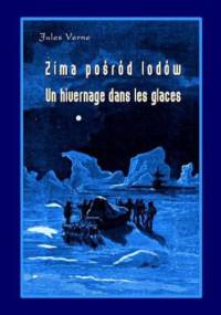 Zima pośród lodów - Un hivernage dans les glaces - Juliusz Verne