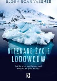 Nieznane życie lodowców - Bjørn Vassnes