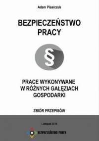 Bezpieczeństwo Pracy. Prace wykonywane w różnych gałęziach gospodarki. Zbiór przepisów - Pisarczuk Adam