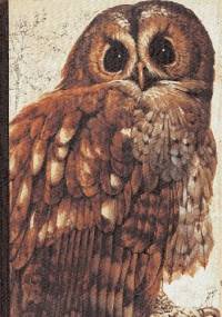 Book of British Birds - Robin S. Hosie