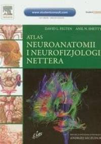 Atlas neuroanatomii i neurofizjologii Nettera - David L. Felten, Anil N. Shetty
