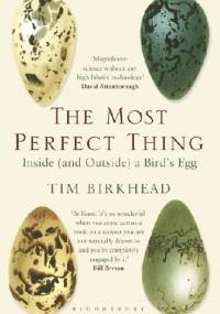 The Most Perfect Thing Inside (and Outside) a Bird’s Egg - Tim Birkhead