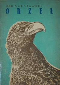 Orzeł - Jan Sokołowski