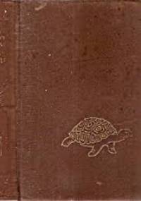 O złotym żółwiu. Bajki birmańskie - Htin Aung