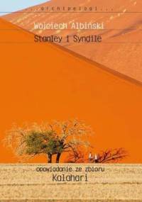 Stanley i Syndile - Wojciech Albiński