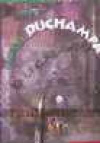 W cieniu Duchampa. Notatki nowojorskie - Piotr Piotrowski (historyk sztuki)