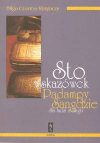 Sto wskazówek Padampy Sangdzie do ludzi z Tigri - Dilgo Khjentse Rinpocze