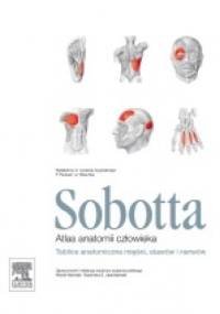 Sobotta. Tablice anatomiczne mięśni, stawów i nerwów. Atlas anatomii człowieka. - Johannes Sobotta