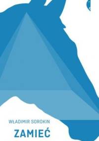 Zamieć - Władimir Sorokin