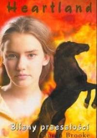 Blizny przeszłości - Lauren Brooke