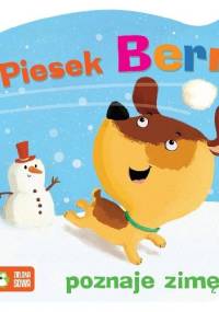 Piesek Berni poznaje zimę - praca zbiorowa