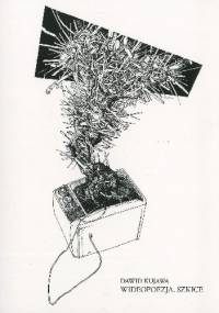 Wideopoezja. Szkice - Dawid Kujawa