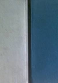 Słownik podręczny niemiecko-polski, polsko-niemiecki - Paweł Kalina