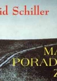 Mały poradnik zen - David Schiller