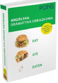 Angielska gramatyka obrazkowa - praca zbiorowa