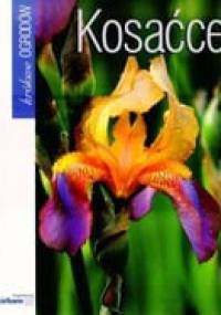 Kosaćce - Jacek Marcinkowski