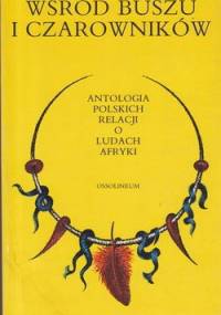 Wśród buszu i czarowników: antologia polskich relacji o ludach Afryki - Antoni Kuczyński