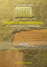 Historia Mezopotamii w 1. tysiącleciu przed Chrystusem - Francis Joannes