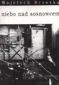 Niebo nad Sosnowcem - Wojciech Brzoska