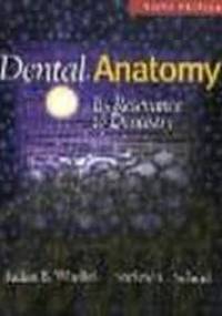 Dental Anatomy Its Relevance to Dentistry - Julian B. Woelfel, Rickne C. Scheid