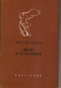 Chłopiec na lotnym trapezie - William Saroyan