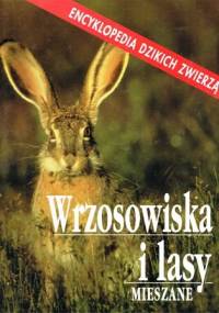 Wrzosowiska i lasy mieszane - Catherine Nicolle