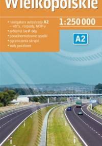 Wielkopolskie. Mapa samochodowa 1:250000 DEMART