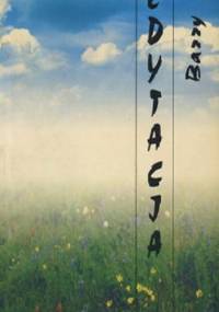 Medytacja - Barry Long