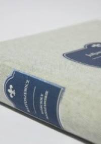 Kościoły warszawskie rzymsko-katolickie - Julian Bartoszewicz