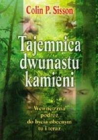 Tajemnica dwunastu kamieni - Sisson Colin P.