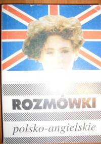 Rozmówki polsko-angielskie - Piotr Wrzosek, Maciej Tichy