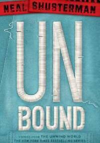 UnBound - Neal Shusterman