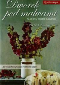 Dworek pod malwami.Zranione dusze - Marian Piotr Rawinis