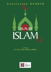 Choroba islamu - Abdelwahab Meddeb