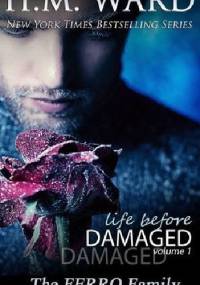 Life Before Damaged, Volume 1: The Ferro Family - H.M. Ward