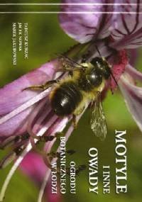 Motyle i inne owady Ogrodu Botanicznego w Łodzi