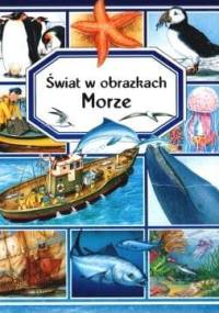 Morze. Świat w obrazkach - Émilie Beaumont