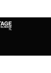 STAGE - Hedi Slimane