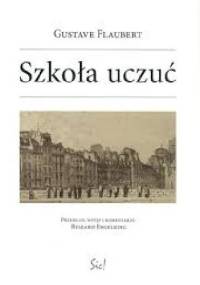 Szkoła uczuć - Gustave Flaubert
