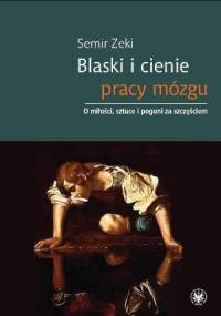 Blaski i cienie pracy mózgu. O miłości, sztuce i pogoni za szczęściem - Semir Zeki