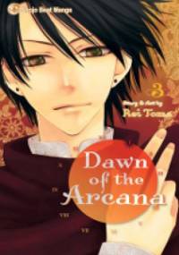 Dawn of the Arcana 3 - Rei Toma