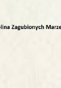 Dolina Zagubionych Marzeń - Liliana Bardijewska