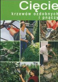Cięcie krzewów ozdobnych i pnączy - Marek Dąbski