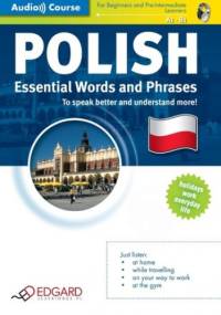 Polish Essential Words and Phrases