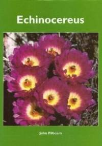 Echinocereus - John Pilbeam