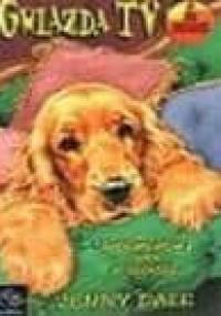 Gwiazda TV - Jenny Dale