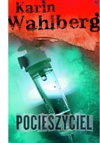 Pocieszyciel - Karin Wahlberg