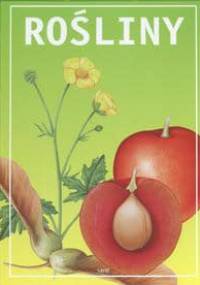 Rośliny - praca zbiorowa